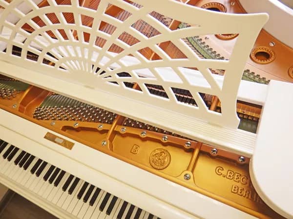 «Бехштейновский» дизайн