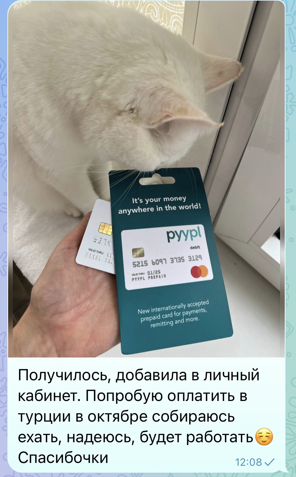 приложение pyypl отзывы